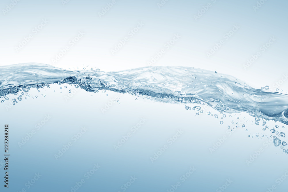 Fototapeta Water splash,water splash isolated on white background,water