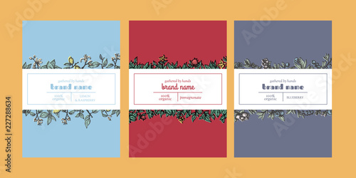 Vector set of package design with floral hand drawn elements. Editable packaging template collection with lemon, pomegranate and blueberry.