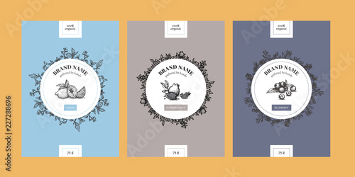 Vector set of package design with floral hand drawn elements. Editable packaging template collection with lemon, pomegranate and blueberry.
