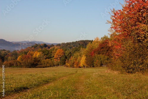 Rural countryside landscape of autumn and summer country.