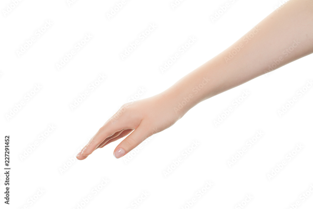 Empty female hand isolated on white background Empty female hand isolated on white background
