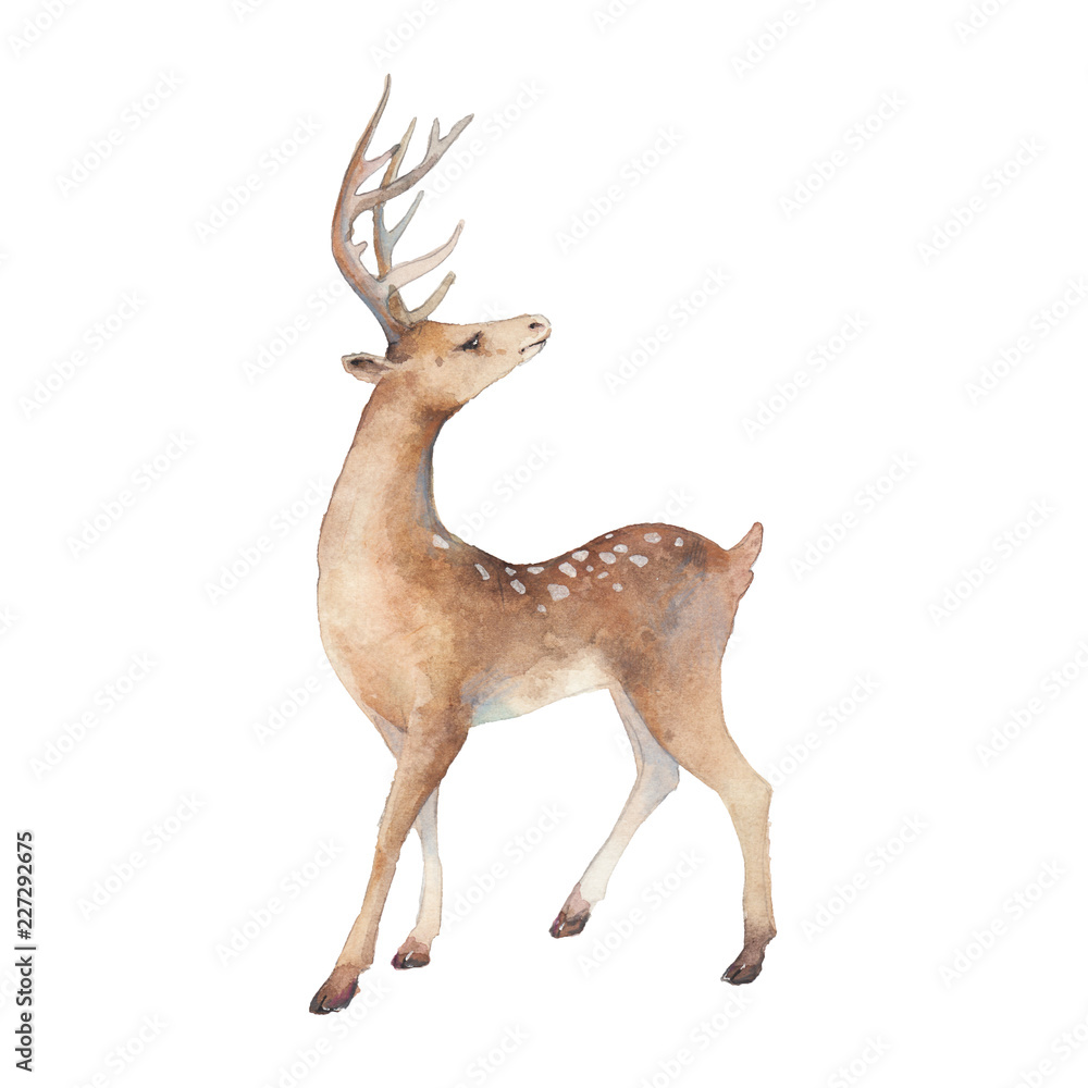 Naklejka premium Watercolor deer illustration. Isolated animal silhouette on white background.
