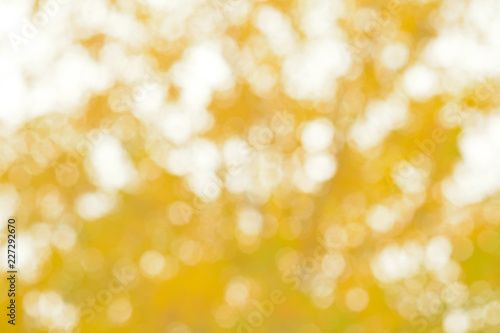 Blurred abstract background of yellow leaves