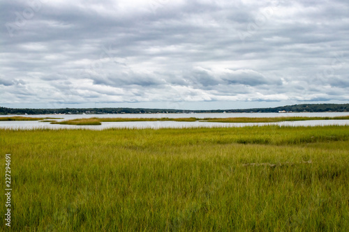 Gorgeous view of marshland  water  sky and clouds