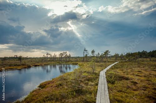 Boardwalk path through wetlands area. Boardwalk in Hupassaare study trail. Estonia. Bog boardwalk is a popular tourist destination in Soomaa National Park. Baltic. photo