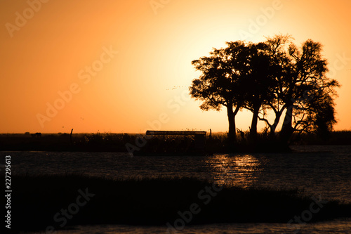 Sunset Chobe River