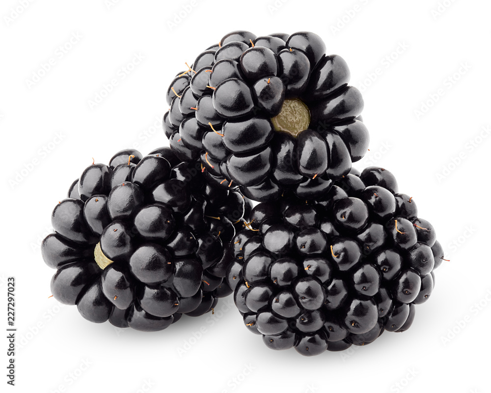 blackberry isolated on white background, clipping path, full depth of field