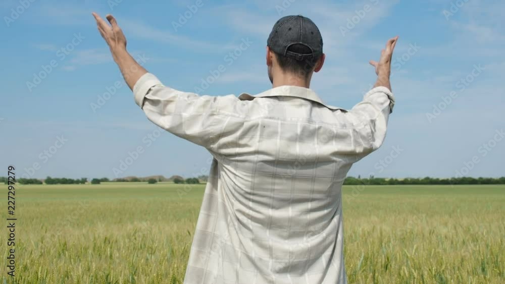 The farmer rejoices harvest. Happy man in a wheat field. Happy farmer raised hands up. The farmer rejoices harvest. Happy man in a wheat field. Happy farmer raised hands up.