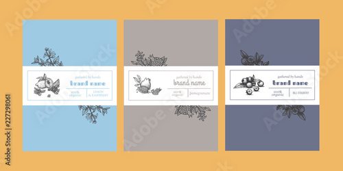 Vector set of package design with floral hand drawn elements. Editable packaging template collection with lemon, pomegranate and blueberry.