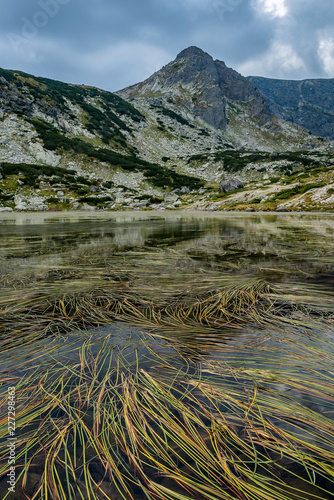 Dry leaves floating on a lake surrounded by mountains. Seven Rila Lakes, Bulgaria photo