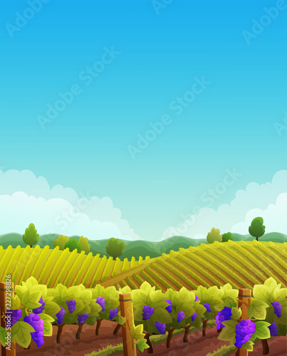 Rural landscape of vineyard. Vines with purple grapes stretching over the hills with trees and mountains in background. Autumn season. Vertical vector illustration.
