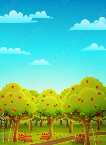 Colorful landscape of an apple orchard during harvest. Ladder and wooden crate filled with ripe red apples. Vector illustration.