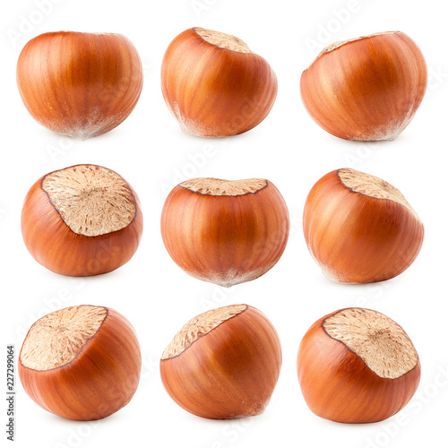 hazelnut isolated on white background, clipping path, full depth of field