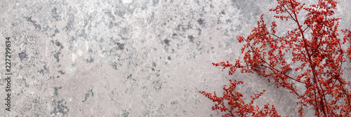 Panoramic photo of red dry ...