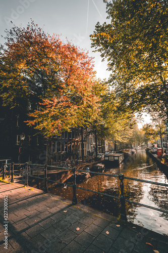 Photography Autumn in Amsterdam