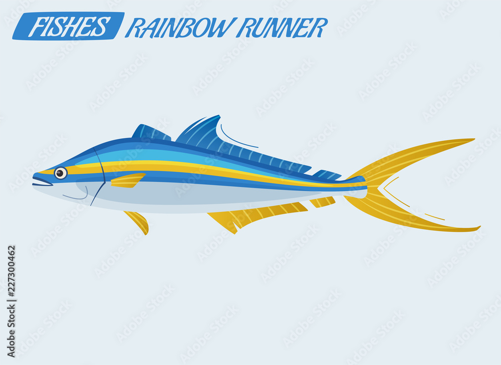 Fish character. Cartoon vector illustration
