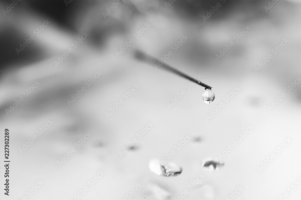 Medical syringe with a needle. Syringe, medical injection Liquid drug or narcotic. Medical syringe with a needle. Syringe, medical injection Liquid drug or narcotic.