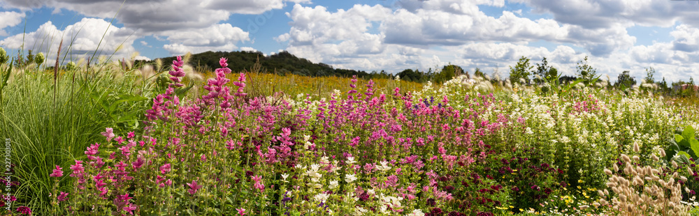 Time of the flower field in spring with clouds and mountains Time of the flower field in spring with clouds and mountains