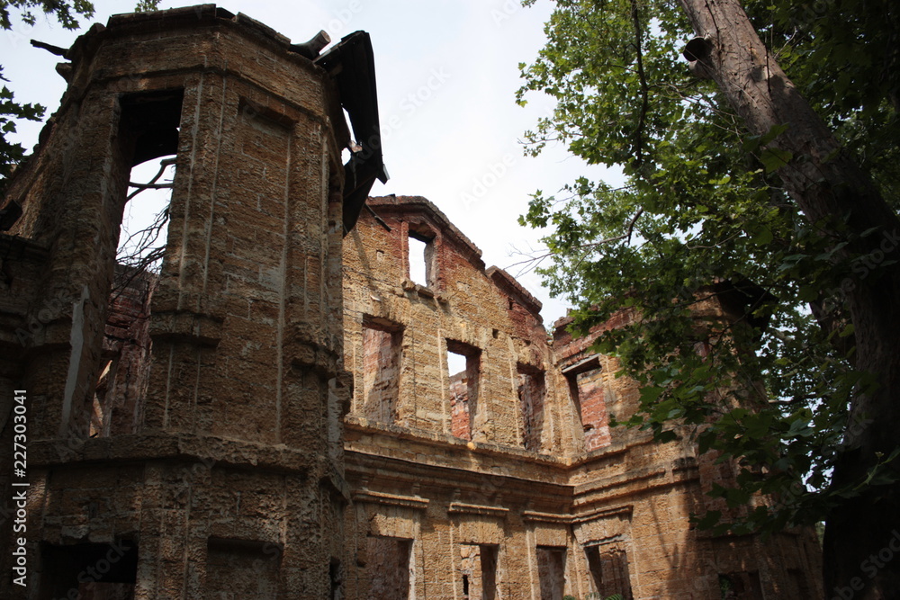 Naklejka premium nature and sea