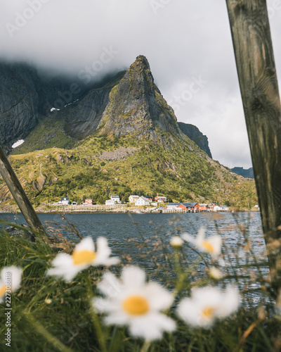 Mountain in Lofoten Reine