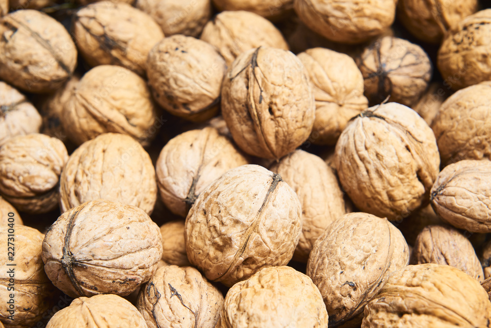 Walnut background, scattered pile of walnuts Walnut background, scattered pile of walnuts