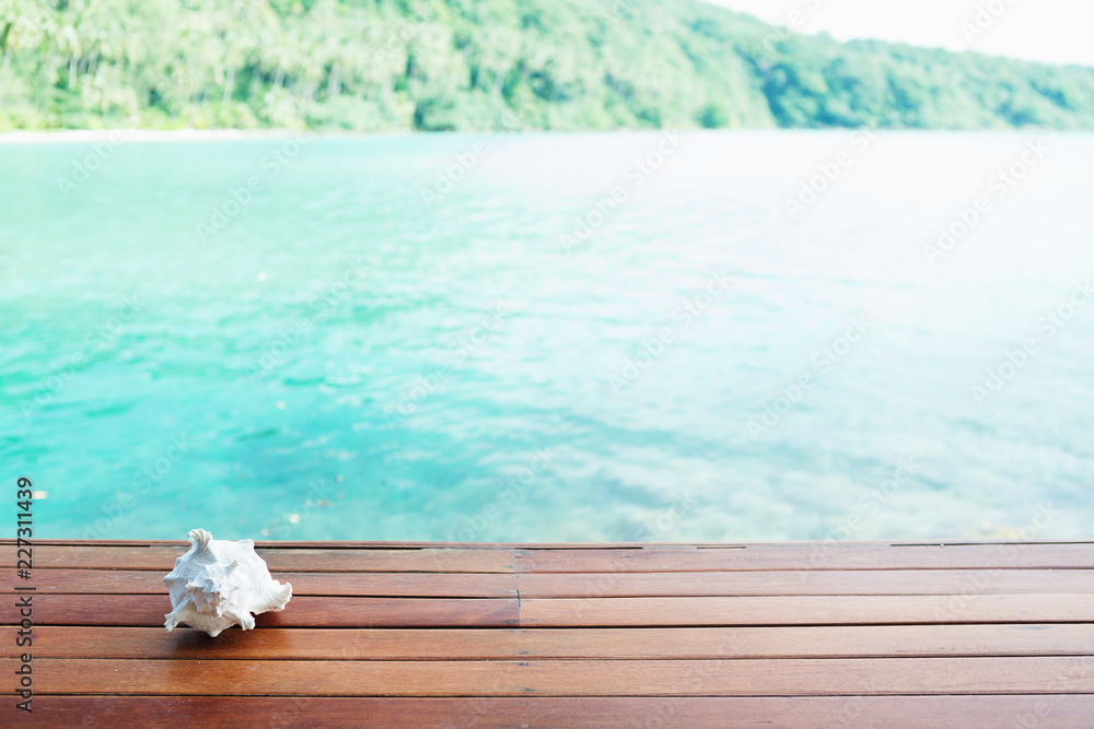 Obraz premium Sea shells are placed on a wooden floor. Looking forward to the sea.