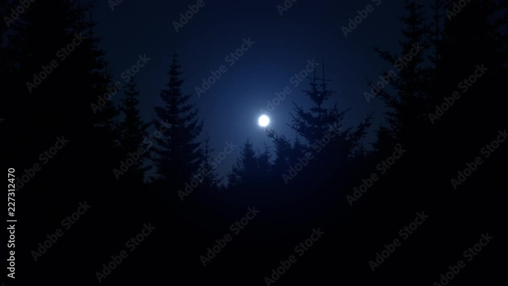 Bright hazy blue moon over dark pine tree forest silhouettes.mov Bright hazy blue moon over dark pine tree forest silhouettes.mov