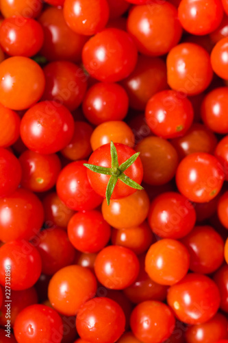 Fresh Small Red Cherry Tomato In The Center. Shallow Depth Of Field. Top View. Background. Vertical Version.
