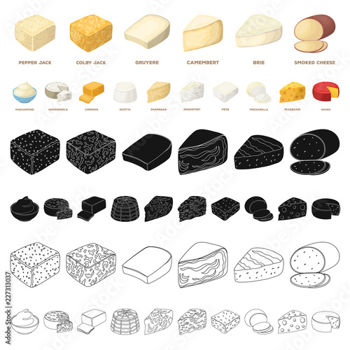 Different kind of cheese cartoon icons in set collection for design.Milk product cheese vector symbol stock web illustration.