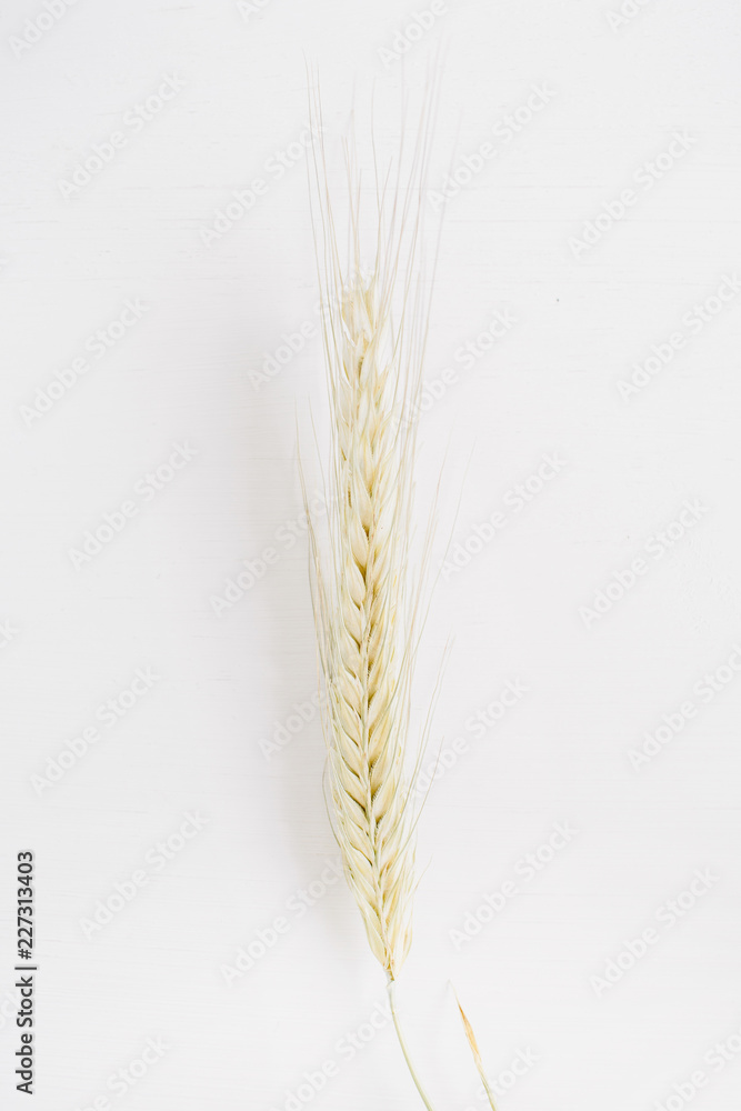 Rye ear on white background. Flat lay, top view. Rye ear on white background. Flat lay, top view.