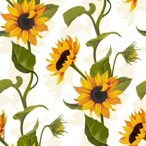 Sunflower vector seamless pattern floral texture on bright backgrounds