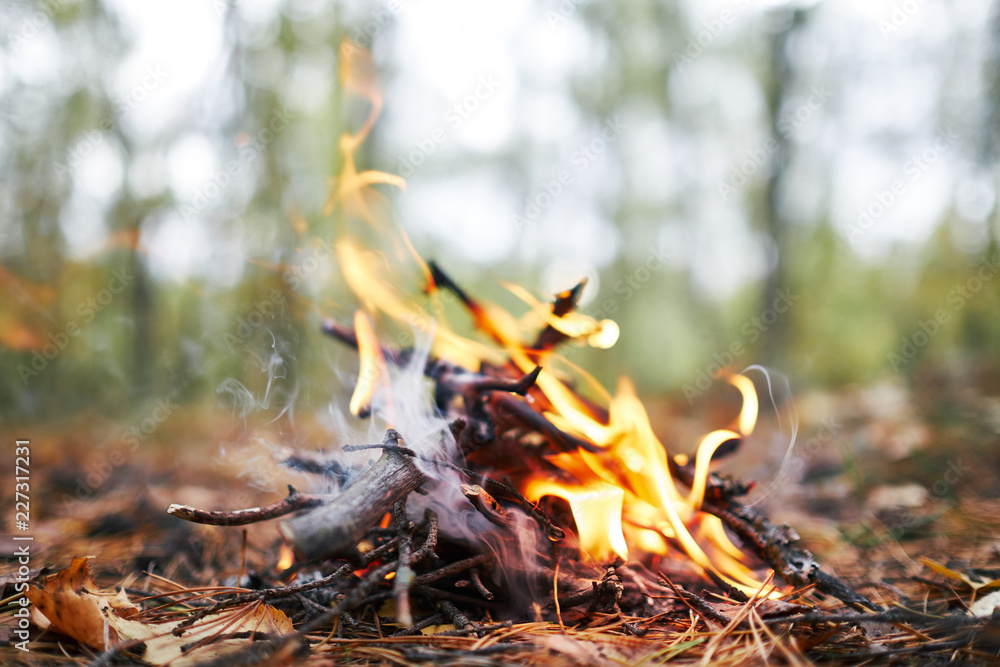 bonfire with smoke in autumn forest