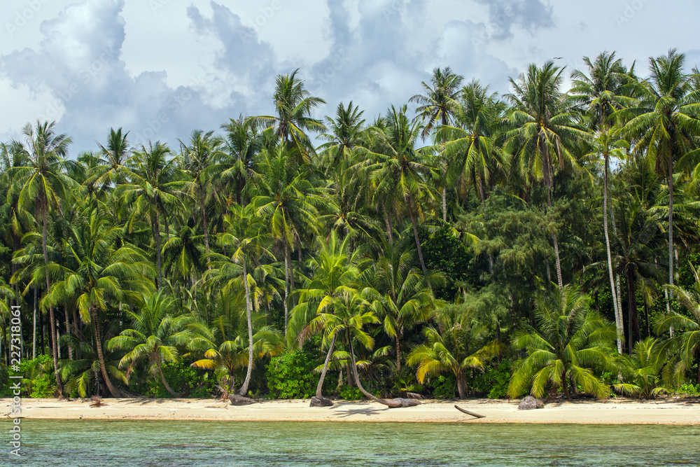 Obraz premium Palm trees on beautiful tropical beach on Koh Kood island in Thailand