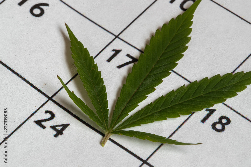 Calendar marijuana Canada October 17 2018, Legalization of cannabis recreation