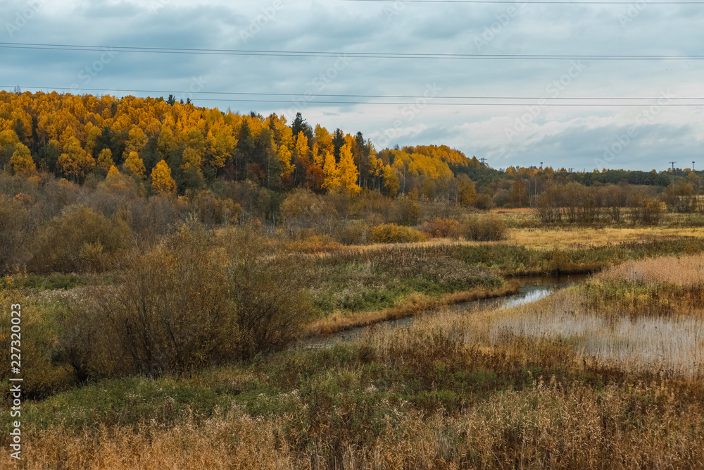 Fototapeta premium autumn landscape