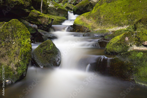 Fototapeta Naklejka Na Ścianę i Meble -  Stream in Bavarian Forest