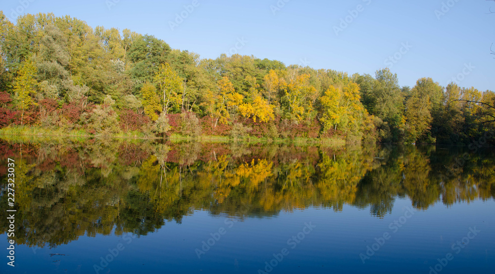 Herbst in den Rheinauen auf der Ile de Gerstheim Herbst in den Rheinauen auf der Ile de Gerstheim