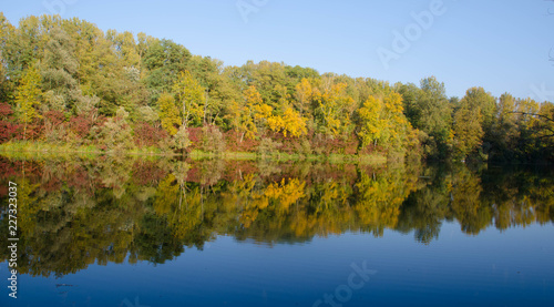 Herbst in den Rheinauen auf der Ile de Gerstheim
