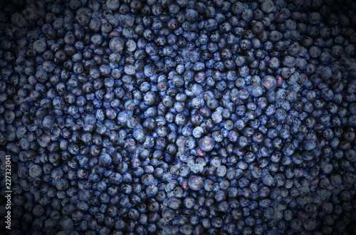 Pile of Blueberries