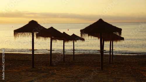 sunrise at the beach in Malaga golden hour umbrellas and palm trees