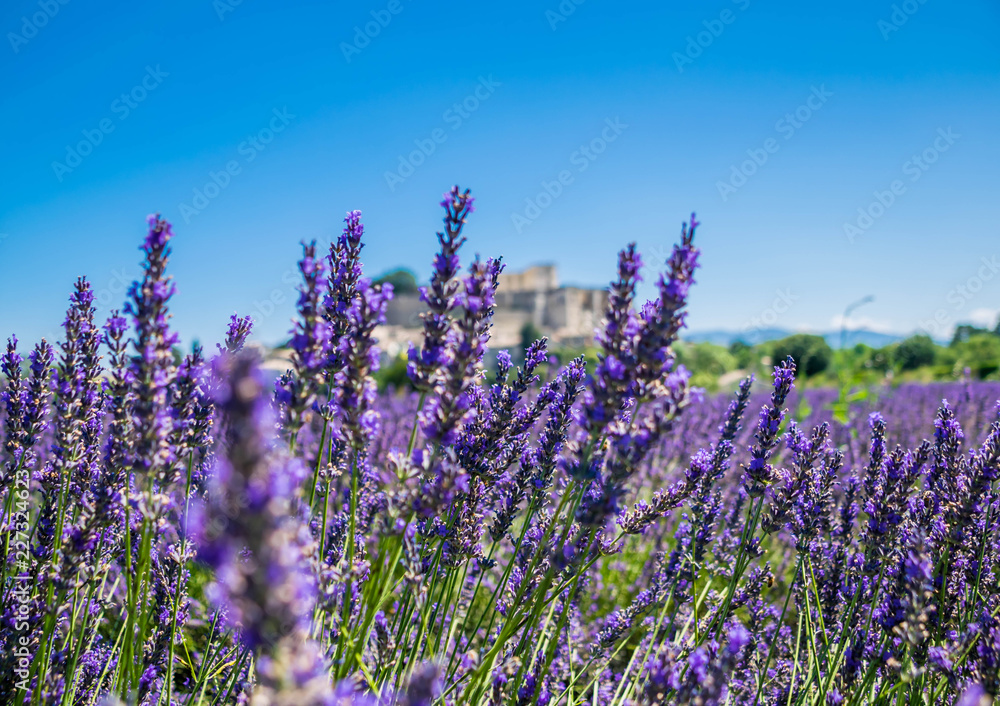 Obraz premium grignan, drôme, auvergne-rhône-alpes, france