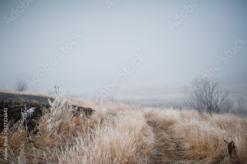 Wallpaper Mural Ноябрьский пейзаж Torontodigital.ca