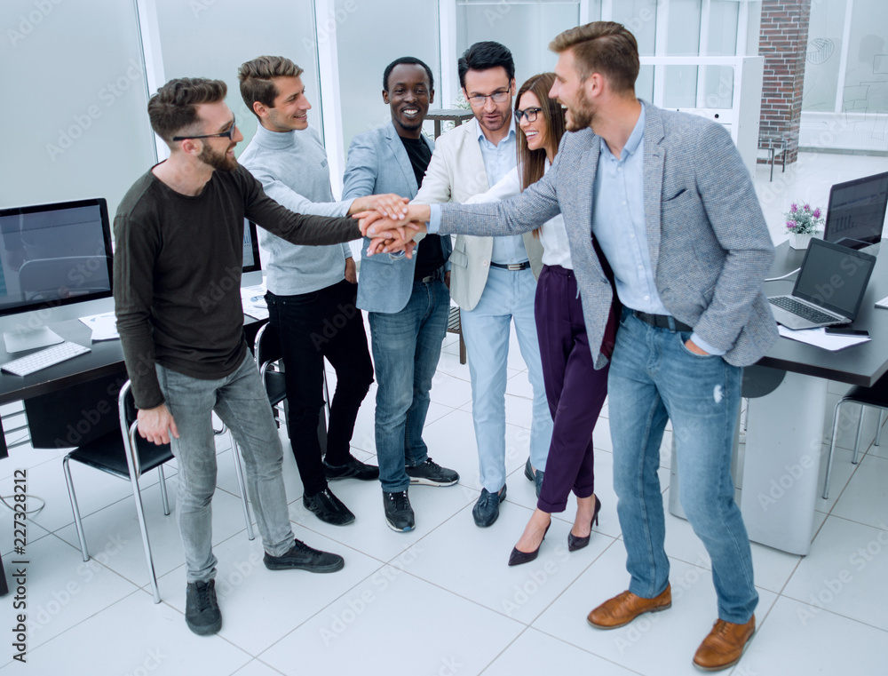Fototapeta premium professional business team showing their unity.