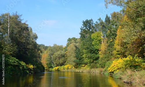 Bunter Herbstwald am Fluss 