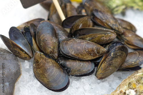 Fresh seafood - mussels in shell on ice in the market.