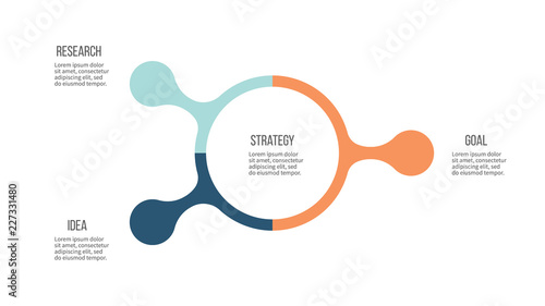 Business infographic. Organization chart with 3 options. Vector template.