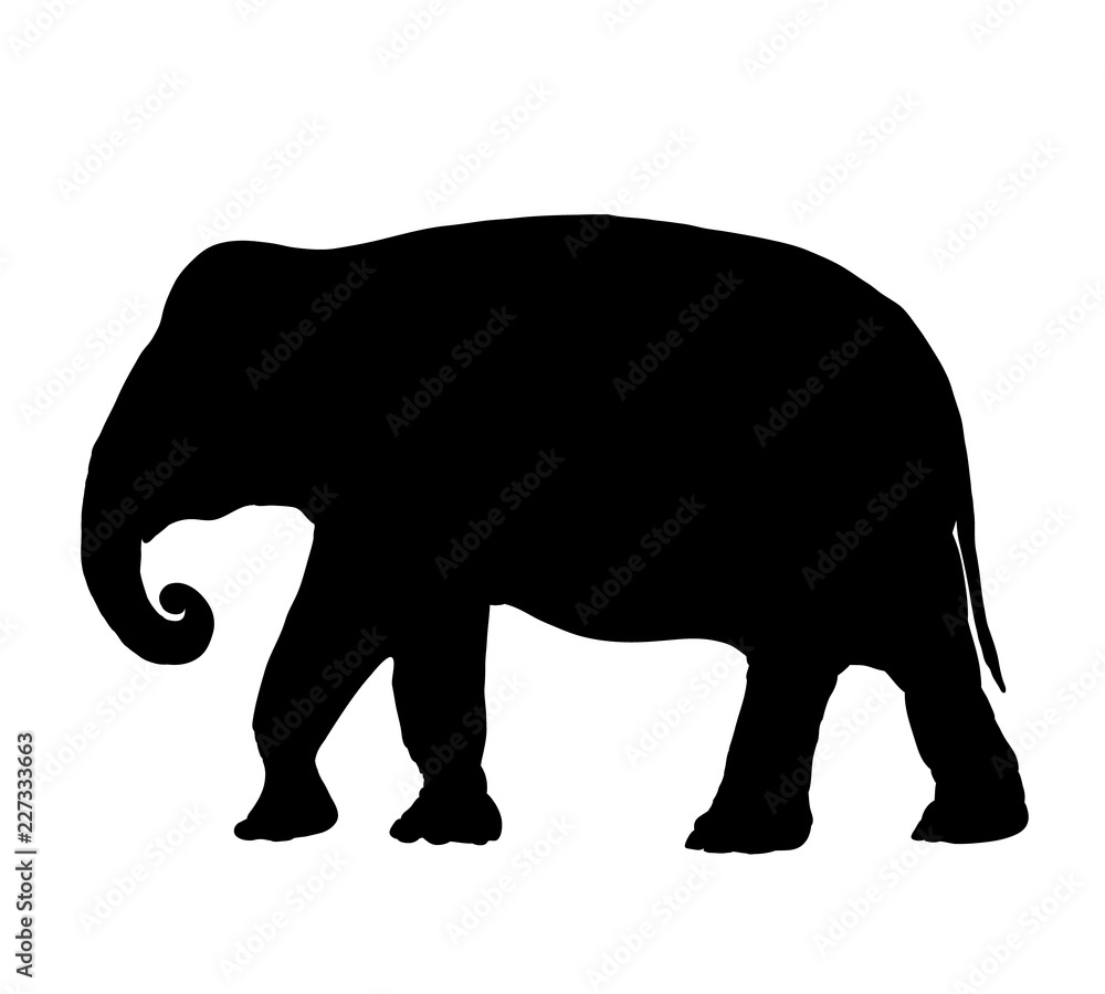 Elephant silhouette isolated on white background vector Elephant silhouette isolated on white background vector