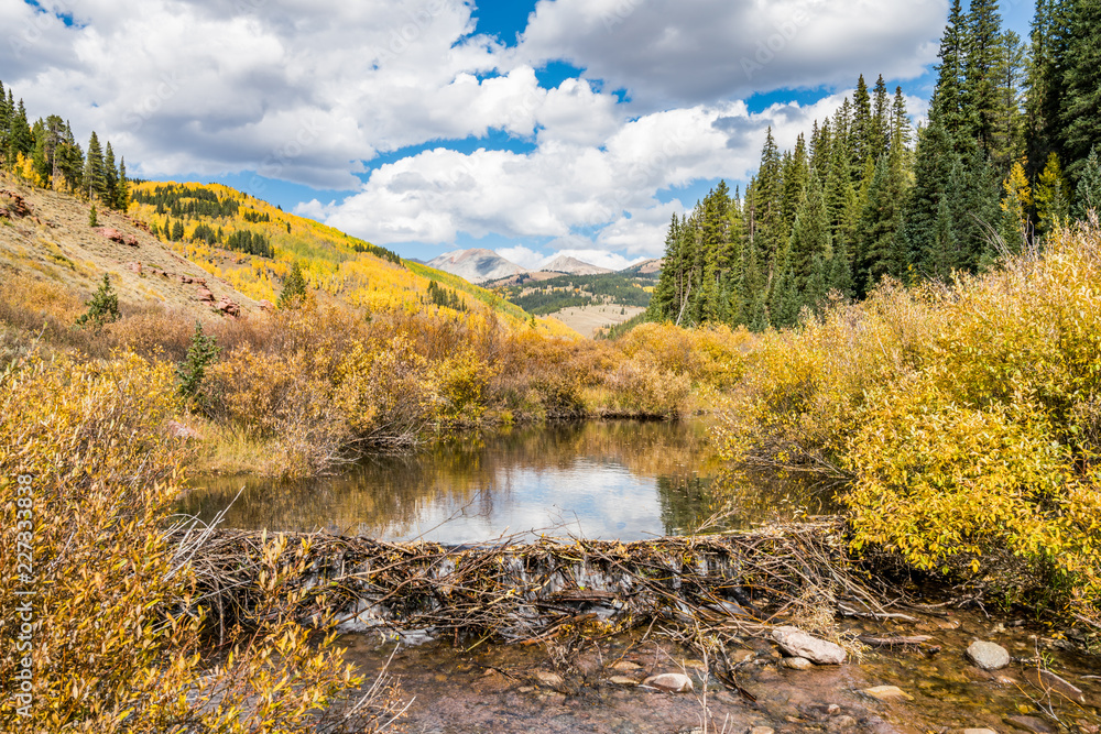 Autumn colours in Cement Creek, Crested Butte, Colorado USA