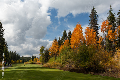 Aspen, pines, and other fall foliage along golf course with people and dogs