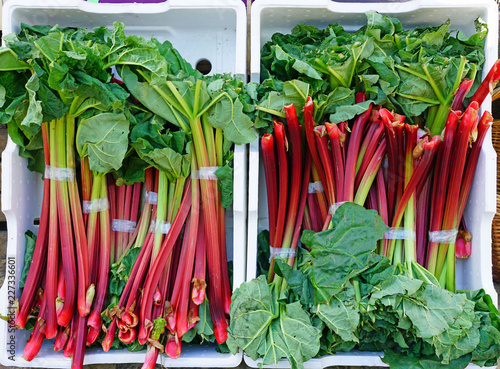 Crates of green and red rhubarb stalks at a farmers market photo